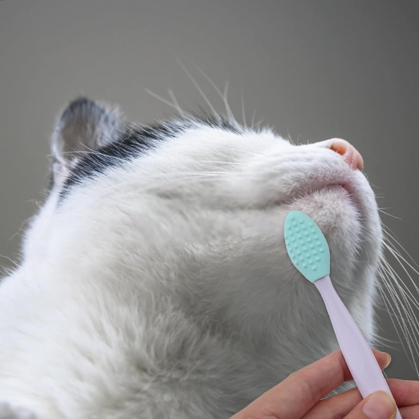 Aylifu 8pcs Silicone Soft Bristle Cat Grooming Scraper Brushes Double-Sided Gentle Massage Cleaning Brush Chin Scrubbers for Pet Chin Acne Treatment Blackhead Exfoliation, 2 Styles