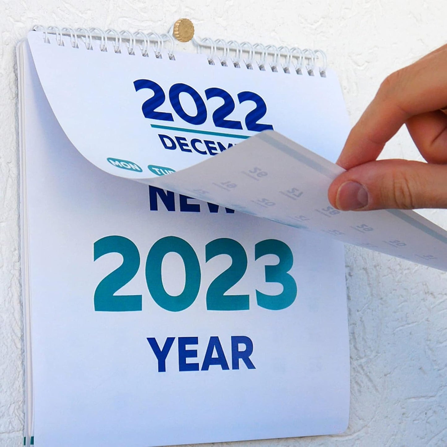 90 Pieces Picture Hanging Nails Black Steel Nails and Brass Head Picture Frame Hangers Nails Hardware with A Plastic Box for Picture Hanging Fixing Coat Racks, 3 Sizes